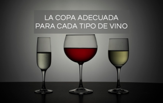 TIPOS-DE-COPAS-DE-VINO