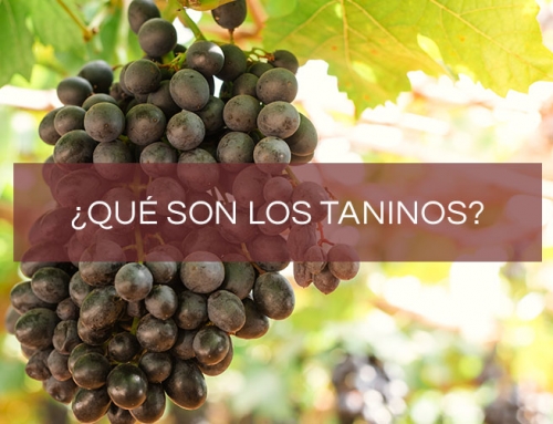 ¿Qué son los taninos del vino?