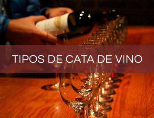 ¿Qué tipos de cata de vino existen?