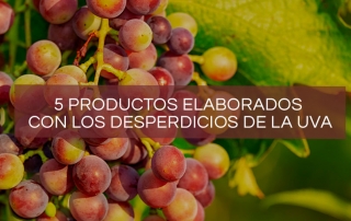 productos-desperdicios-uva