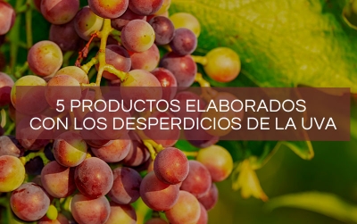 productos-desperdicios-uva