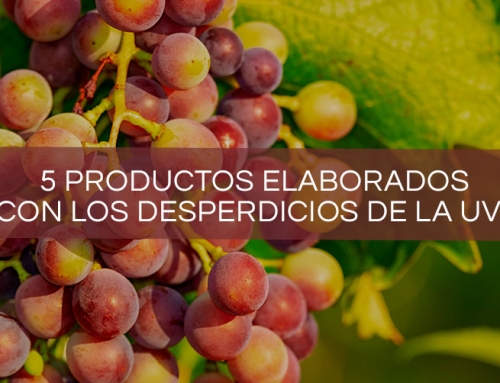 5 productos elaborados con los desperdicios de la uva