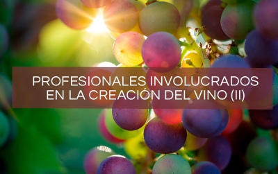 profesionales-vino